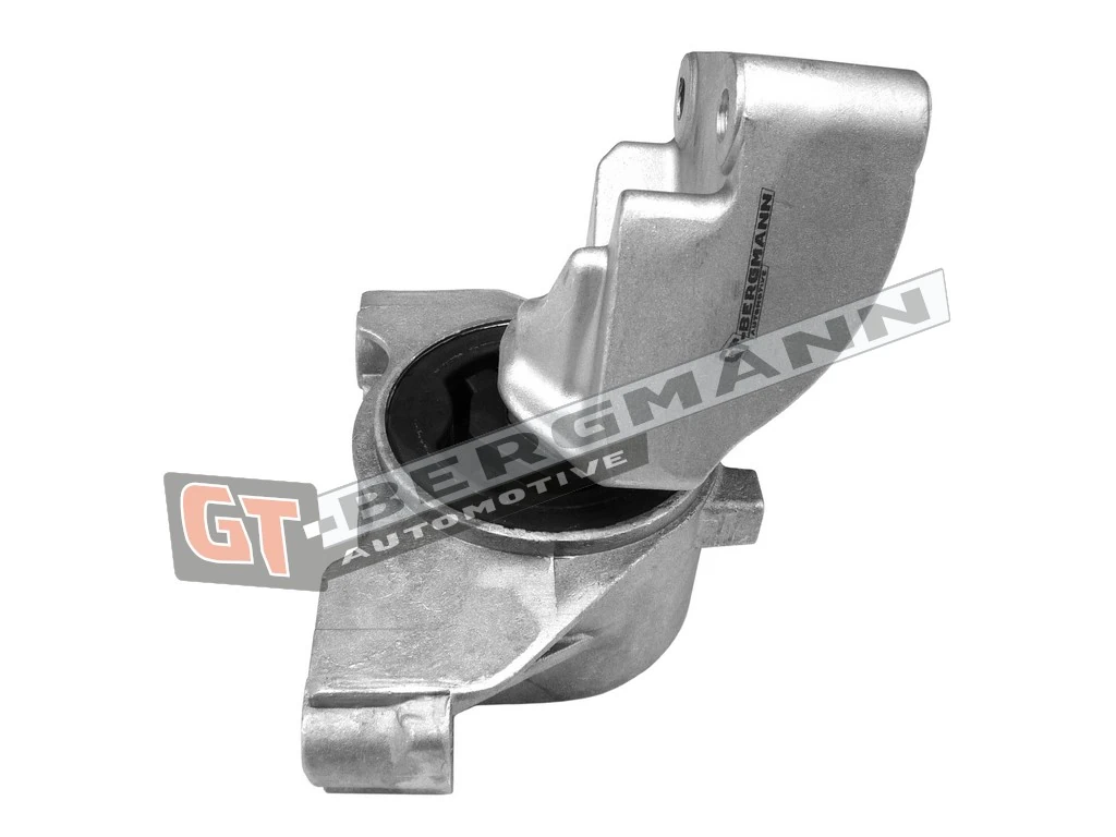 Paigutus, Mootor GT-BERGMANN GT25-038