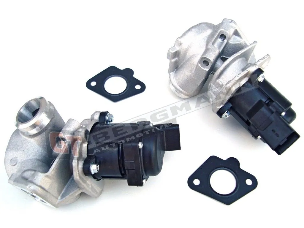 EGR-klapp GT-BERGMANN GT55-017