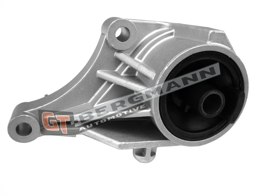 Paigutus, Mootor GT-BERGMANN GT25-048