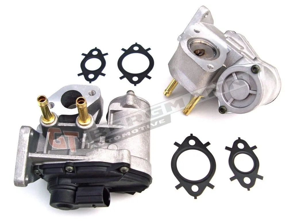 EGR-klapp GT-BERGMANN GT55-011