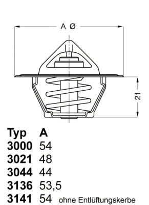 Termostaat, Jahutusvedelik BorgWarner (Wahler) 3000.90