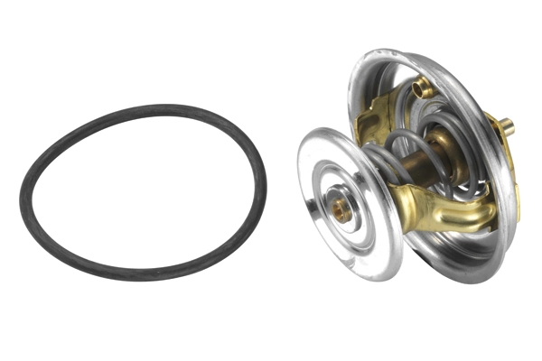 Termostaat, Jahutusvedelik BorgWarner (Wahler) 4078.71D
