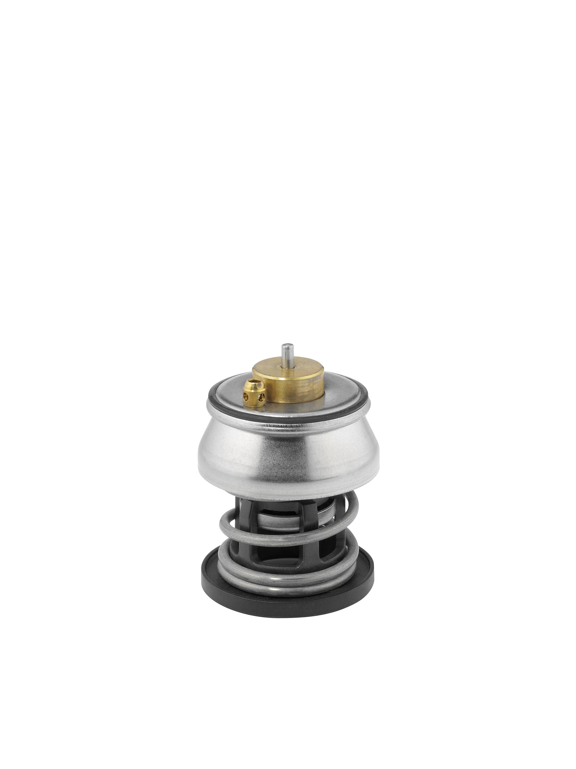 Termostaat, Jahutusvedelik BorgWarner (Wahler) 412253.88D