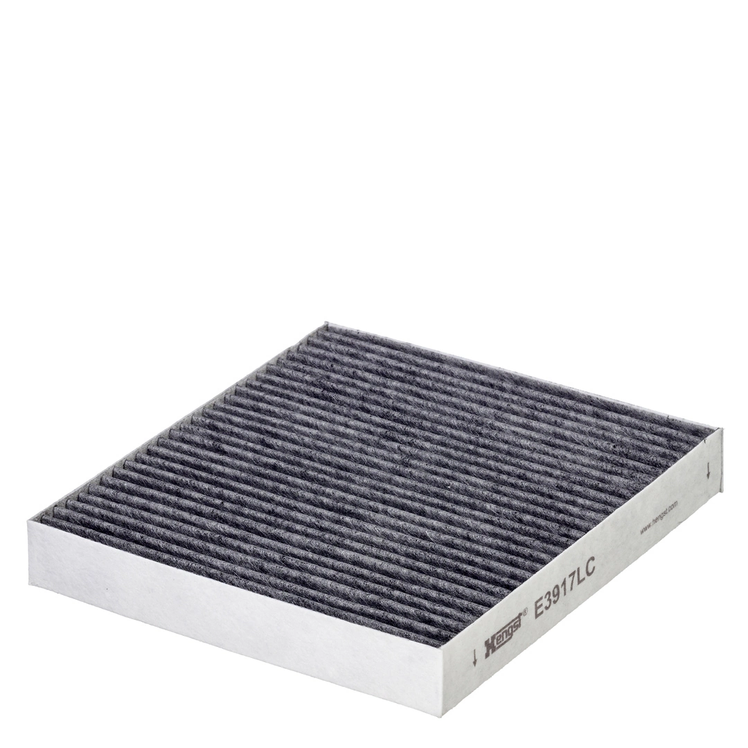 Filter, salongiõhk HENGST FILTER E3917LC