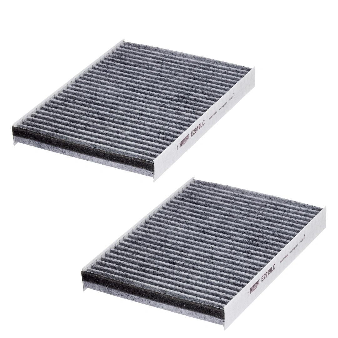 Filter, salongiõhk HENGST FILTER E2919LC-2