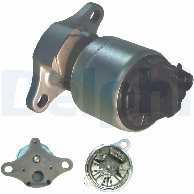 EGR-klapp DELPHI EG10004-12B1