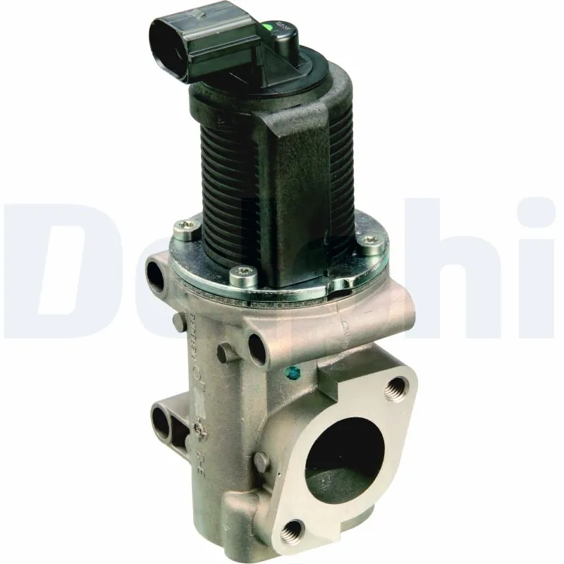 EGR-klapp DELPHI EG10301-12B1