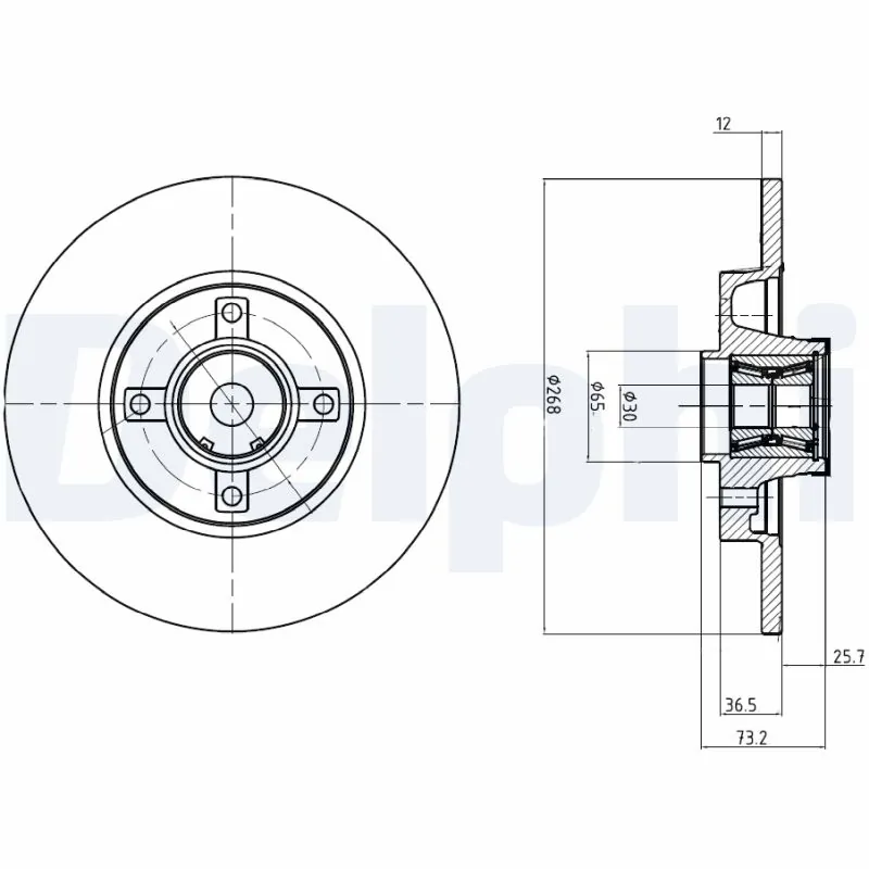 Piduriketas DELPHI BG9053RS
