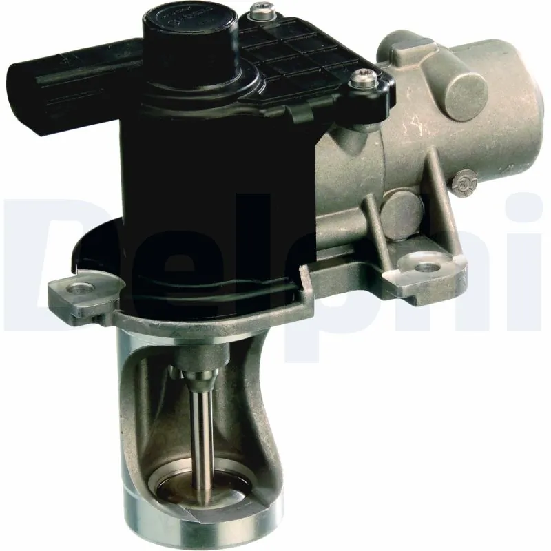 EGR-klapp DELPHI EG10260-12B1