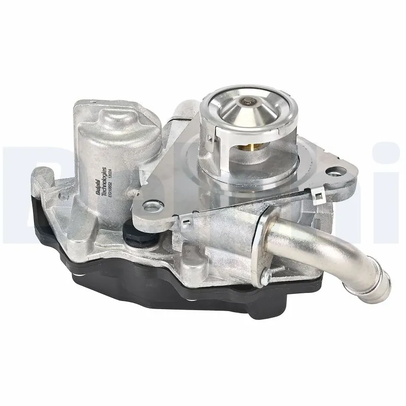 DELPHI EG10552-12B1