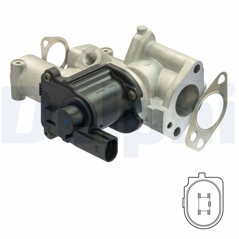 EGR-klapp DELPHI EG10509-12B1