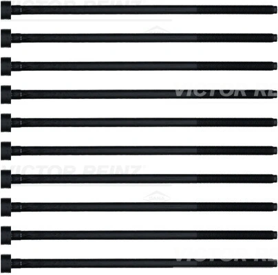Klapikaanekruvikomplekt VICTOR REINZ 14-32220-01