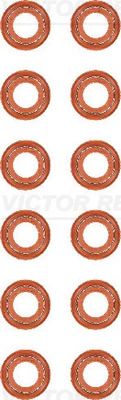 Tihendikomplekt, Klapisäär VICTOR REINZ 12-40218-01