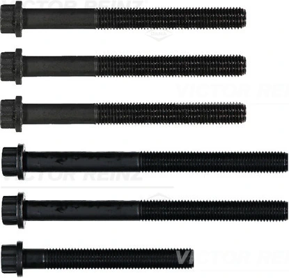 Klapikaanekruvikomplekt VICTOR REINZ 14-32060-01