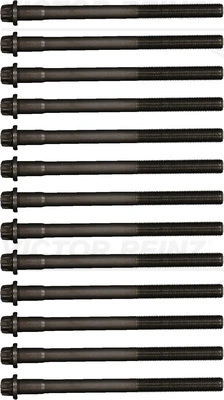 Klapikaanekruvikomplekt VICTOR REINZ 14-32300-01