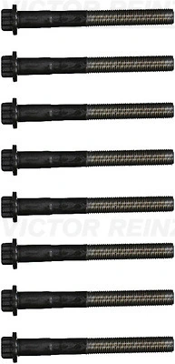 Klapikaanekruvikomplekt VICTOR REINZ 14-55099-01