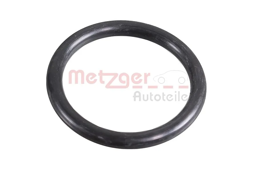 METZGER AUTOTEILE 2430065