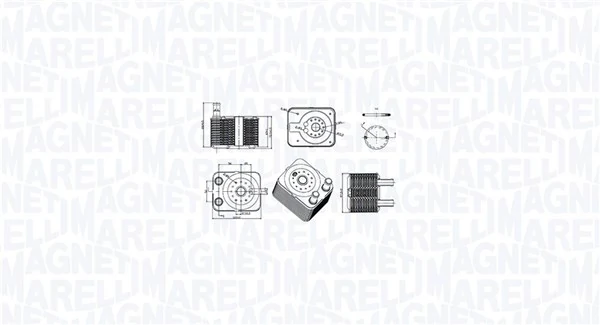 Õliradiaator, mootoriõli MAGNETI MARELLI 350300003100