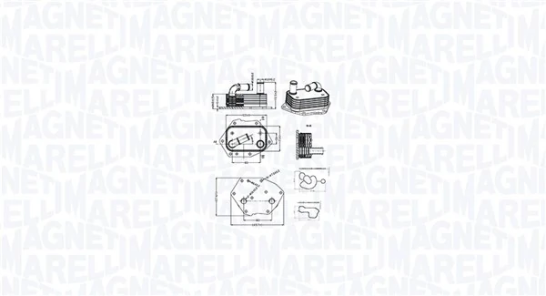 Õliradiaator, mootoriõli MAGNETI MARELLI 350300002600