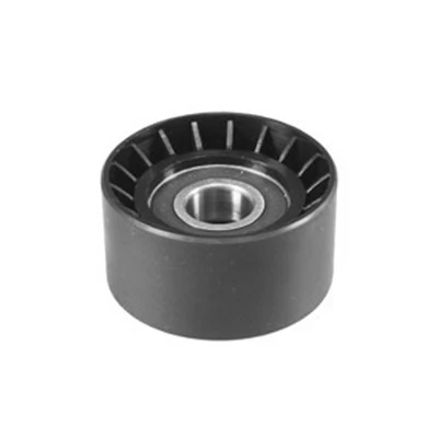 Seade-/juhtrull, kiilrihm MAGNETI MARELLI 331316170056