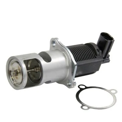 EGR-klapp MAGNETI MARELLI 571822112009