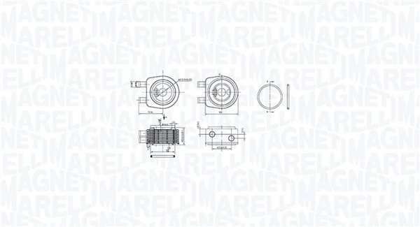 Õliradiaator, mootoriõli MAGNETI MARELLI 350300001900