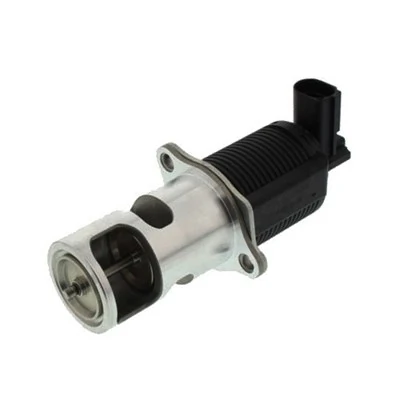 EGR-klapp MAGNETI MARELLI 571822112008