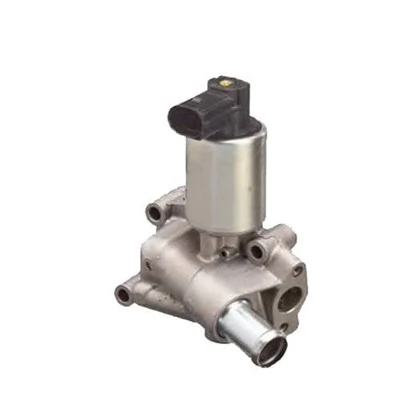 EGR-klapp MAGNETI MARELLI 571822112066