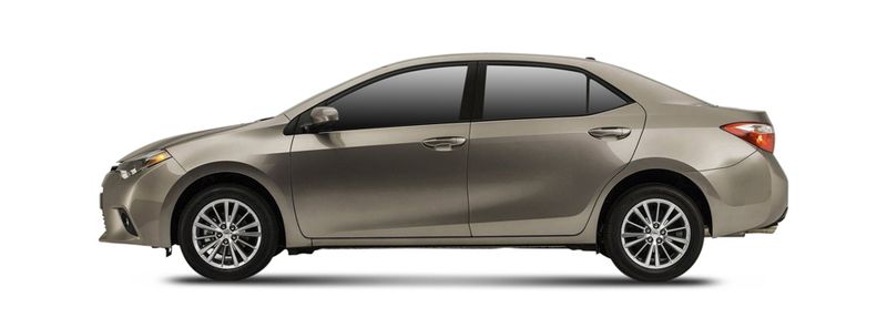 LEVIN