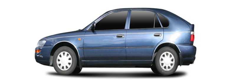 TERCEL